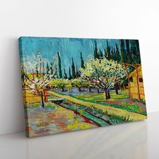 Orchard Bordered By Cypresses