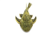 Y40 Real Fish Taxidermy