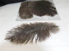 3 Ostrich feathers Dark-Light Grey (2174)