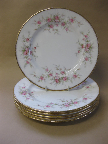 Paragon fine bone - paragon,