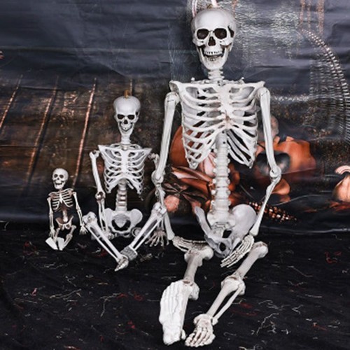 Full life size human - full,