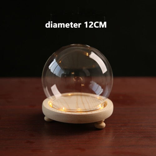 Glass dome display bell jar - bell,