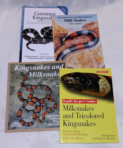 Kingsnakes milk snakes - kingsnakes,