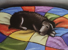 Paul Horton "A Chance to