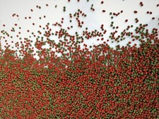 MALAWI MBUNA CICHLID FISH FOOD