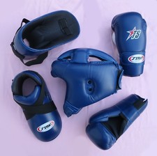 CLEARANCE HIGH QUALITY SPARRING PADS - Taekwondo / Karate - Head, Hands, or Feet