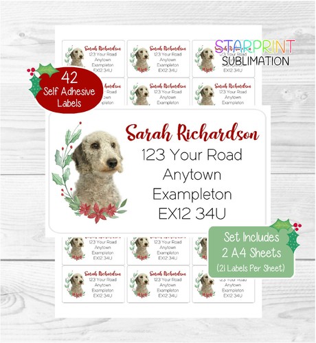 Bedlington terrier dog - dog, 42