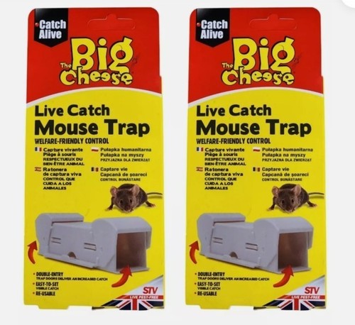 Big cheese live catch - 2x, mouse