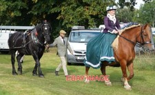 PHOTO  HEAVY HORSES - SUFFOLK