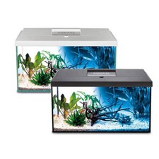 Aquael Leddy 60 Day and Night