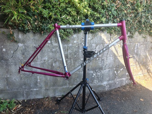 Circa 1992 retro - retro, raleigh