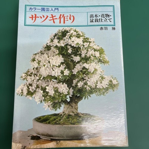 Satsuki azalea cultivation - satsuki,