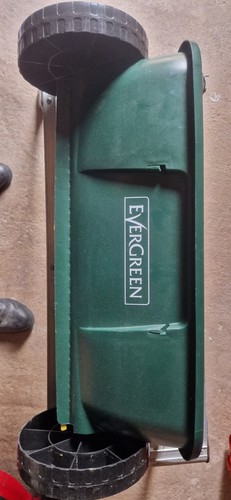 Evergreen seed and firtilizer - seed,