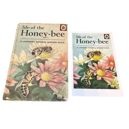 Vintage ladybird book life of - vintage,