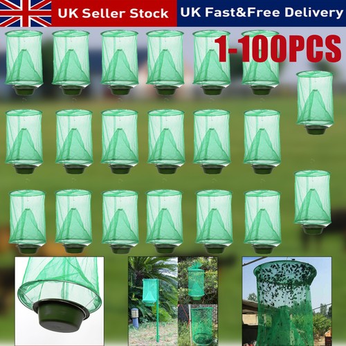 100x fly trap ranch - 1-100x,