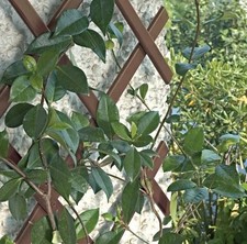 2, BROWN PLASTIC 6ft x 40cm