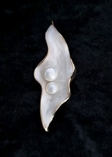 Faux Pearl In Shell Brooch