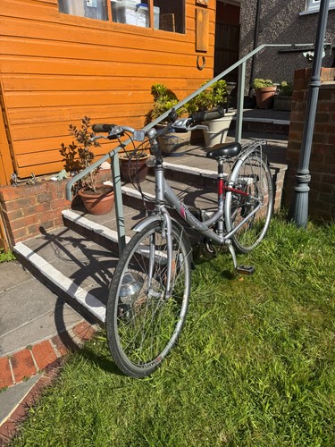 Raleigh pioneer metro airlite - pioneer,