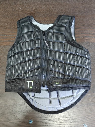 Champion ti22 horse - ti22, riding