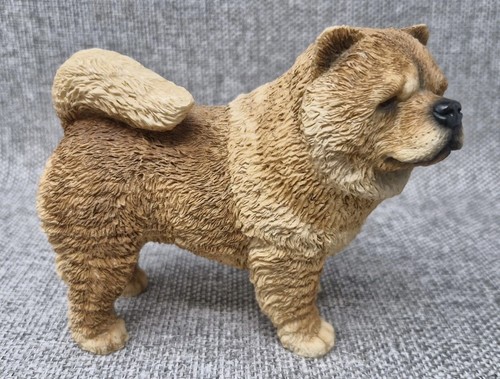 Leonardo chow dog - leonardo,