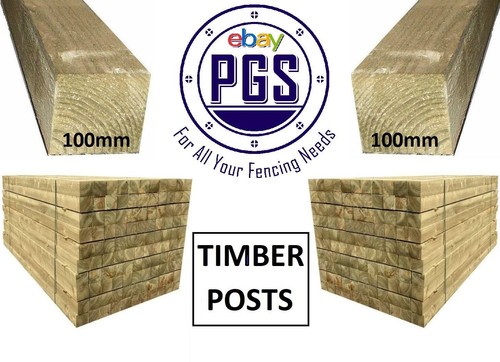 100mm x - (3000mm/10ft),