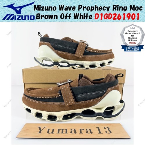Mizuno wave prophecy - wave, moc