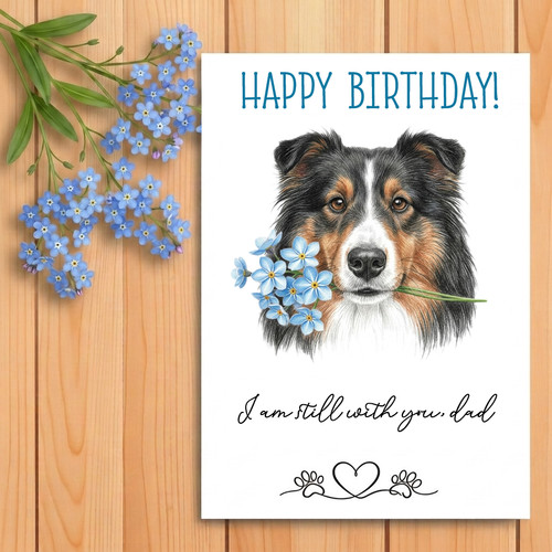 Shetland sheepdog dog - shetland,