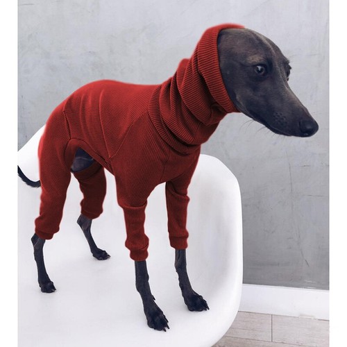 Winter dog coat jacket - winter,