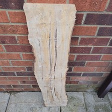 Live edge spalted silver birch