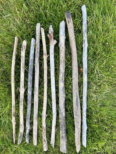 Driftwood pieces art - 9,