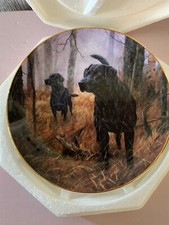 LABRADOR DOG PLATE  HOT ON THE