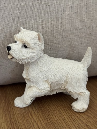 Westie dog west highland - dog,