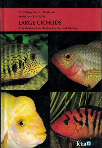 American cichlids large - ii:,