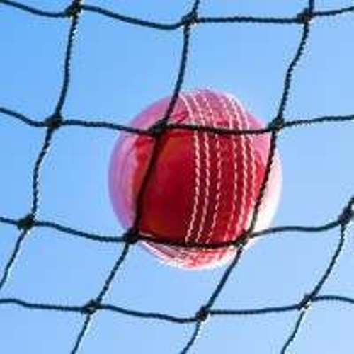 Cricket net ball stop - ball,