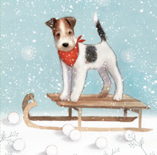 Wadars Charity 'Dog on Sled' Christmas cards pack 10 127mm x 127mm