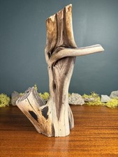14” Manzanita Driftwood