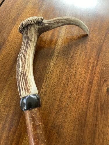 Exquisite vintage deer antler - exquisite,