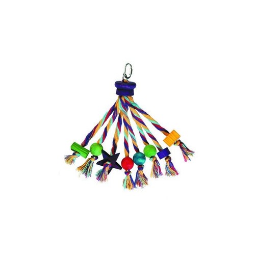 Happy pet carnival - pet, parrot