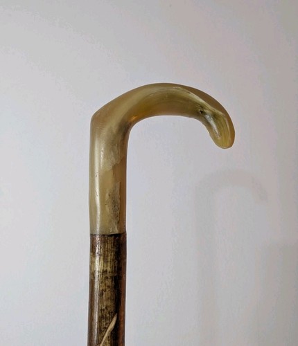 Shepherds crook rams horn - crook,