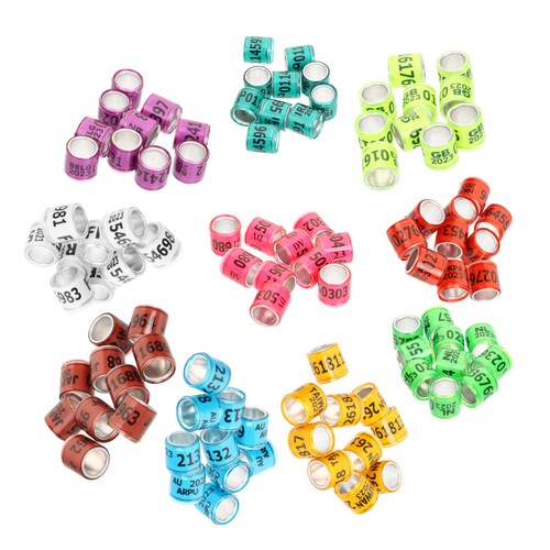 100pcs pigeon leg - 100pcs,