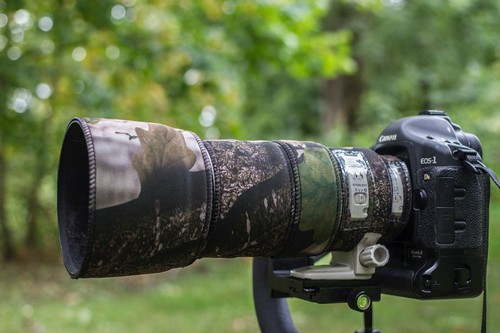 Canon 100 400 - 100-400, l