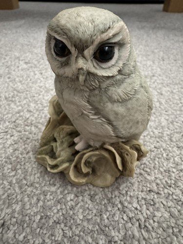 Teviotdale owl collectible - owl,