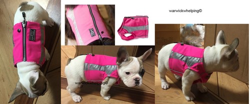 Dog warm vest hurtta - dog,