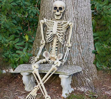 Giant Life Size Human Skeleton