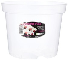 Clear Orchid Pot, 21cm - Clear
