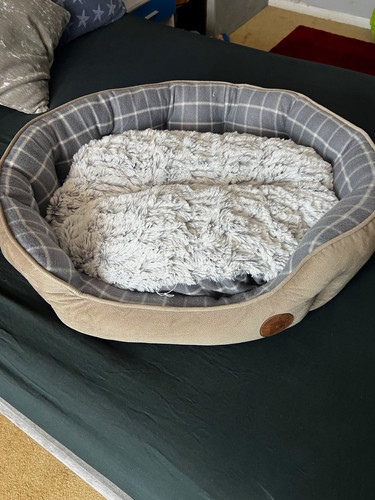 Grey beige oval dog bed - grey/beige,