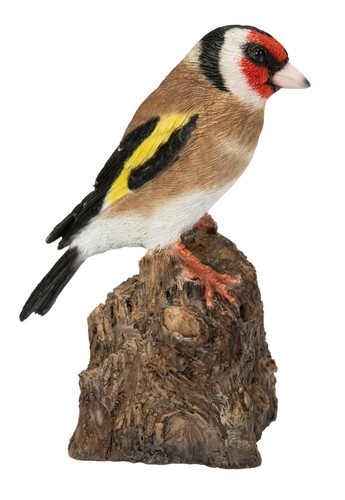 Vivid arts goldfinch - bird, on