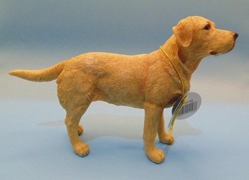 Leonardo dog studies - dog,