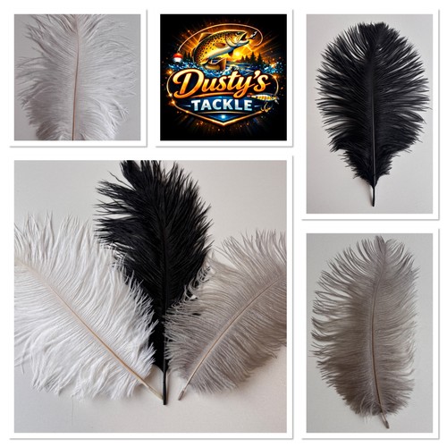 Ostrich feather plume - plume, herl