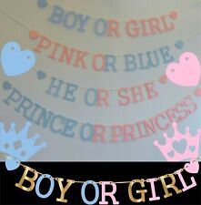 GENDER REVEAL Baby Shower boy